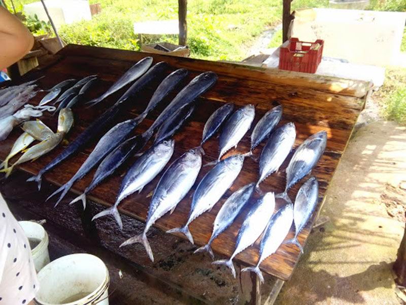 Шри-Ланка. Цены на морепродукты.